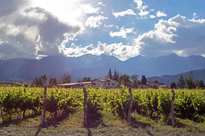 Weinreisen Argentinien & Chile: Mehr als Malbec
