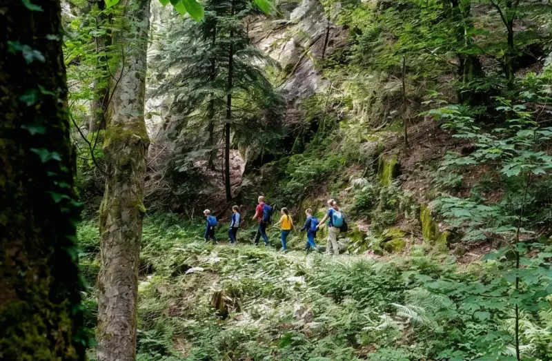 Wanderweg im Schwarzwald mit Holzbrücke, Felsen und Fluss