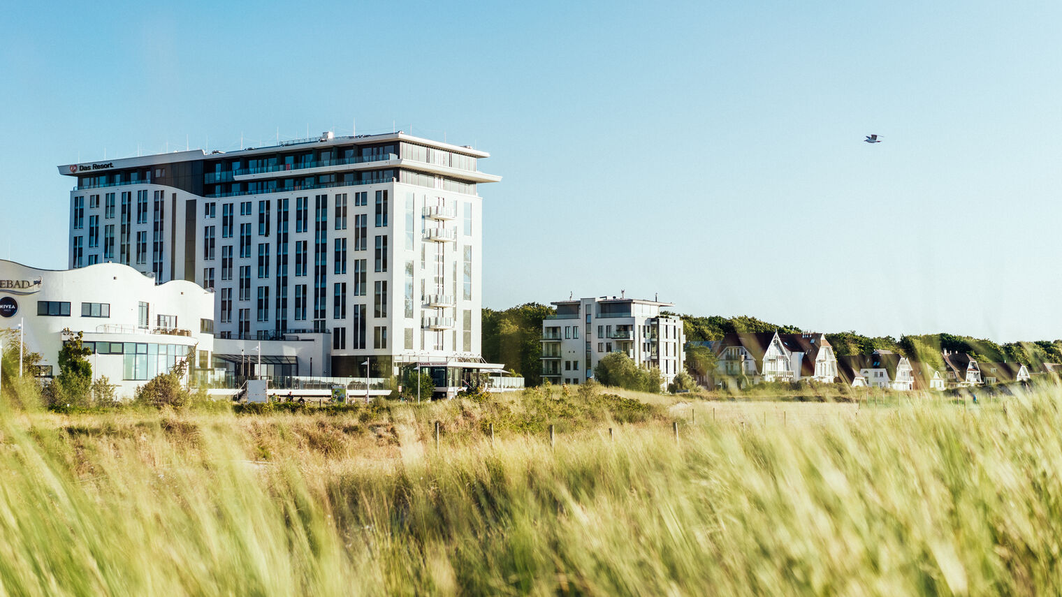 aja Resorts