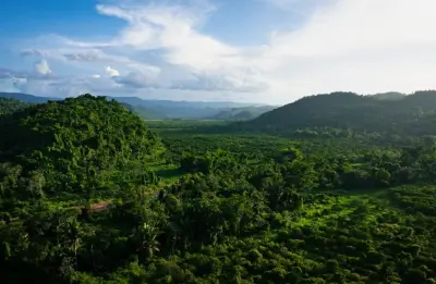 Blick auf grüne Hügel, Dschungel und Küste in Belize mit türkisfarbenem Wasser